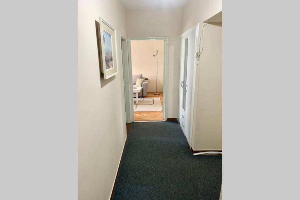 Cute, Spacious Apt In The Heart Of The Old Town Podgorica Exteriér fotografie