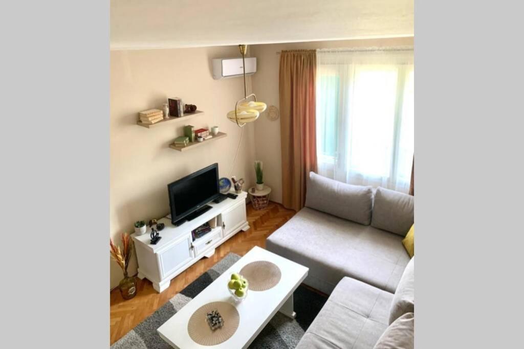 Cute, Spacious Apt In The Heart Of The Old Town Podgorica Exteriér fotografie